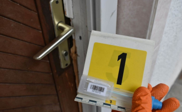 Sorozatos bűntettek!