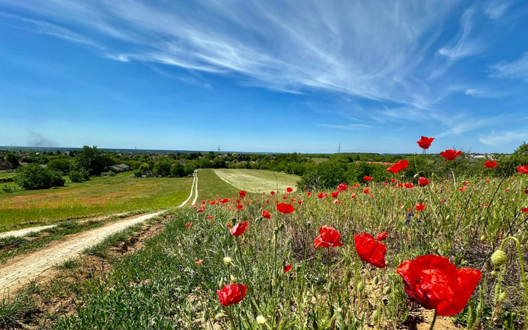 Néhol lehet zápor, zivatar.
