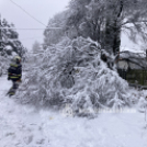 A havazás miatt kidőlt fák és frontális ütközés