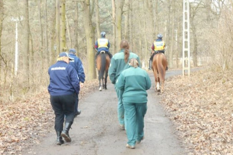 Közös ellenőrzés a falopások ellen