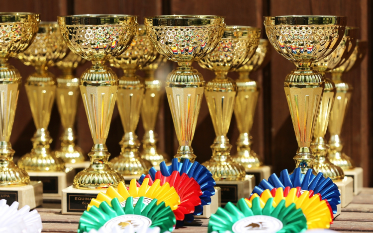 Szabadidős Lovas Verseny.