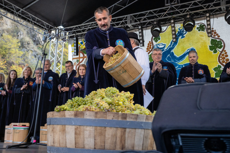 Pénteken kezdődnek a Tokaj-hegyaljai Szüreti Napok.