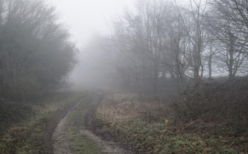 Ködös reggel, felhős délután.