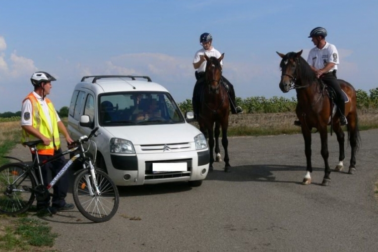 A Készenléti Rendőrség lovas és kutyás járőrei Nógrádban