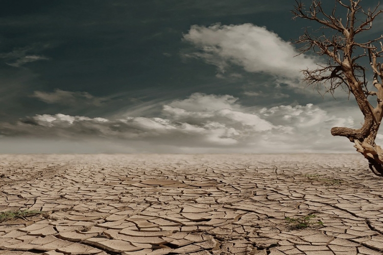 A talaj károsítása gyorsíthatja a klímaváltozást