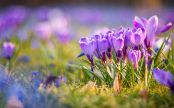 Tavaszi idővel búcsúzik a február.