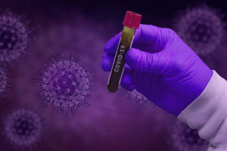 Müller Cecília: most már sokkal többet tudunk a vírusról