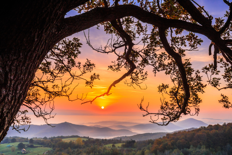 Tavasz Ipolytarnócon