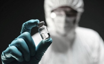 Szamárköhögés-járvány van Belgrádban!