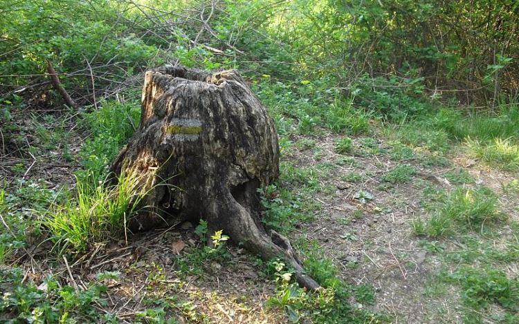 Négy évszak a Karancs-Medves vidékén