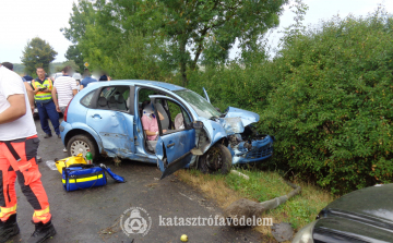 Mozgalmasan telt tűzoltóinknak a hosszú hétvége.