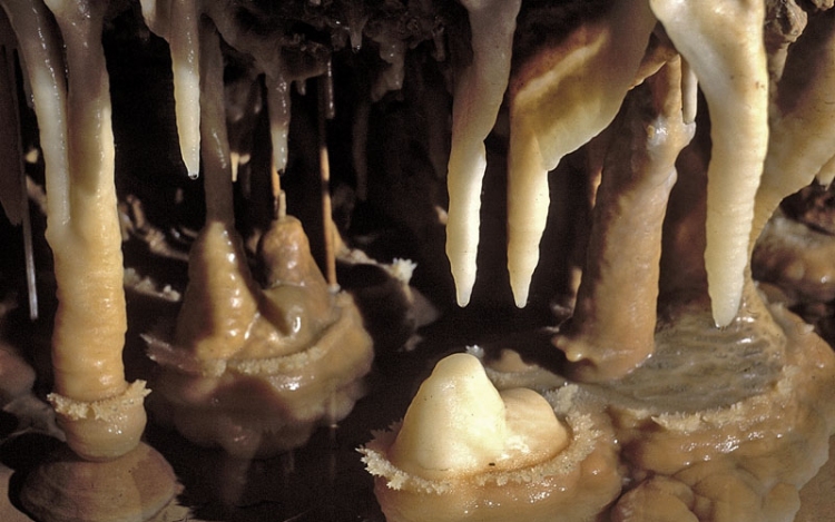 Cseppkövek nőttek egy salgótarjáni homokkő alagútban