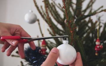 Az ünnepeknek vége, de a karácsonyfa még teljes pompájában áll? 