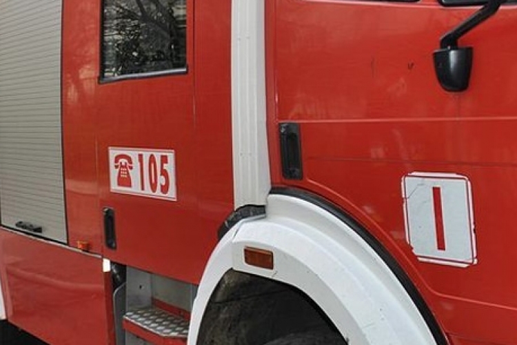 Holttestet találtak a tűzoltók egy leégett budapesti viskóban