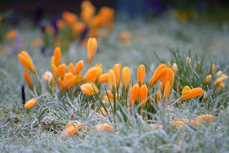 Fagyos reggel, nyugis nappal.