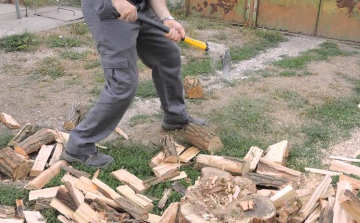  Tettetett jószándék.