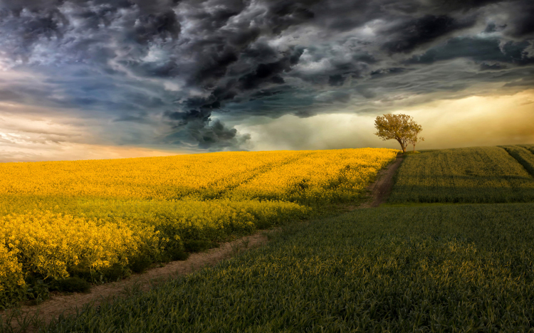 Helyenként zápor, zivatar kialakulhat.