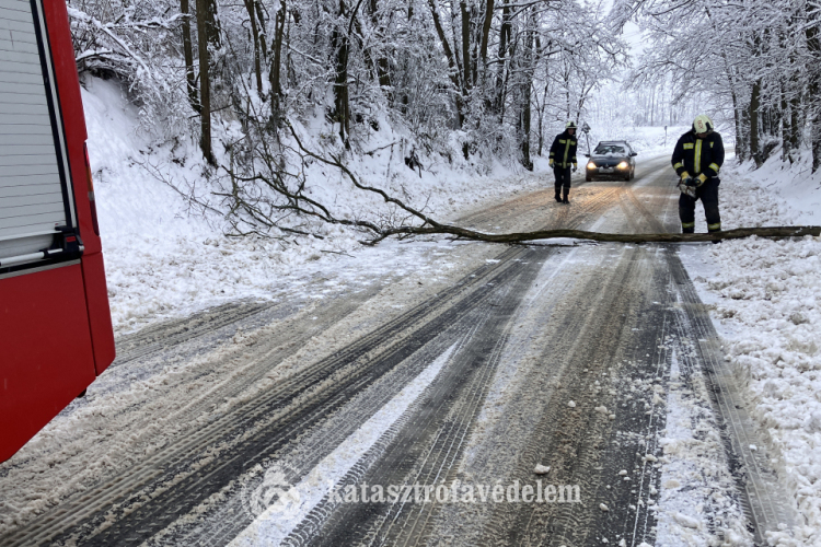A havazás miatt kidőlt fák és frontális ütközés!