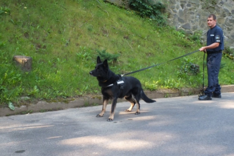 Más kertjéből vacsorázott