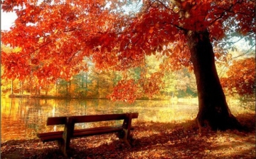 Mikor jön az őszi szünet? Hány hosszú hétvége maradt az idei évre?