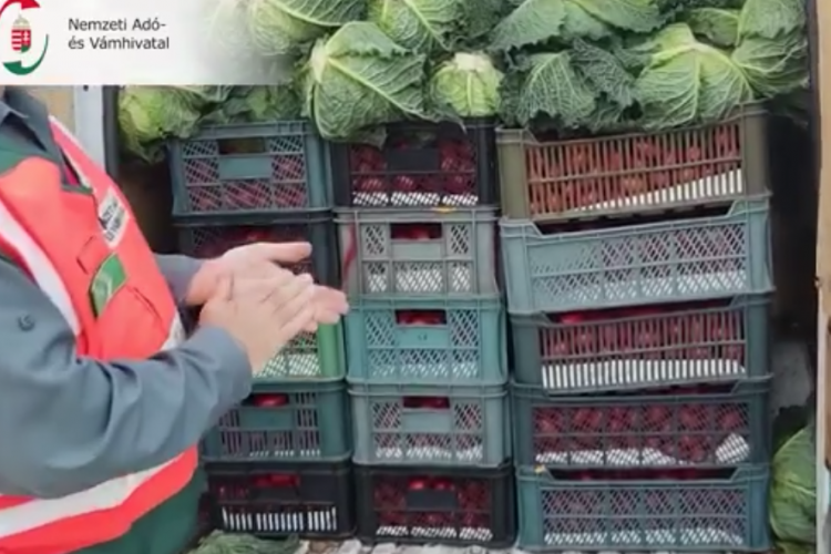 Két tonna jelöletlen zöldséget és gyümölcsöt talált a NAV egy furgonban