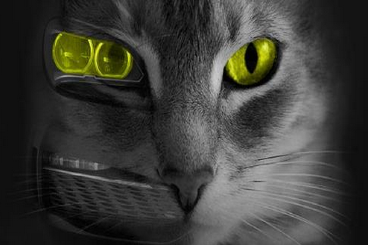 Látni és látszani Nógrád megyében is