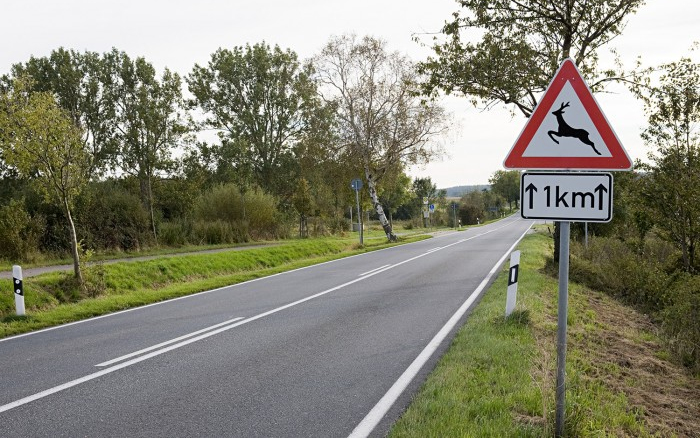 Változott egy szabály, nagyon rosszul járhatnak a magyar autósok!