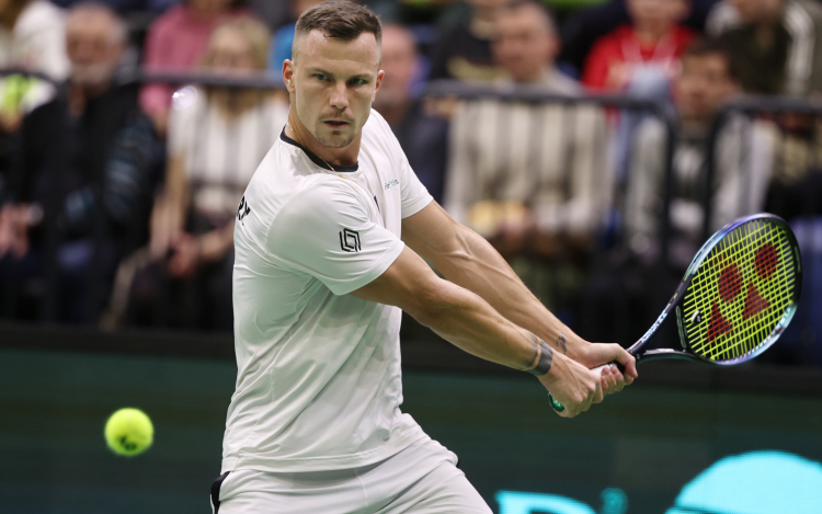 Rotterdami tenisztorna - Dimitrov lesz Fucsovics nyolcaddöntős ellenfele.