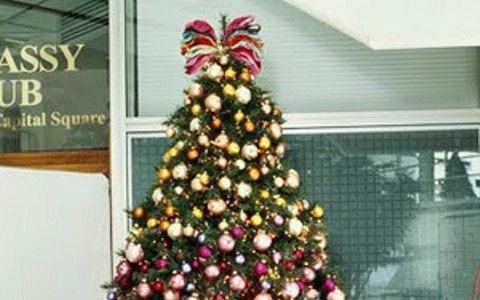 Karácsonyfa trend – Milyen színű legyen a karácsonyfánk?