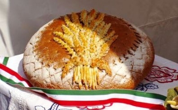 Magyarok kenyere: sok búzát ajánlottak fel megyénkből