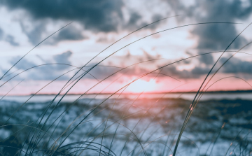 Szeles napok jönnek.