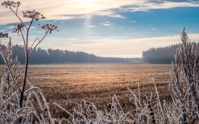 Viharos szél jön, de sokat fog sütni a nap.