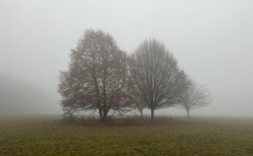Beül a köd, helyenként délután is marad.