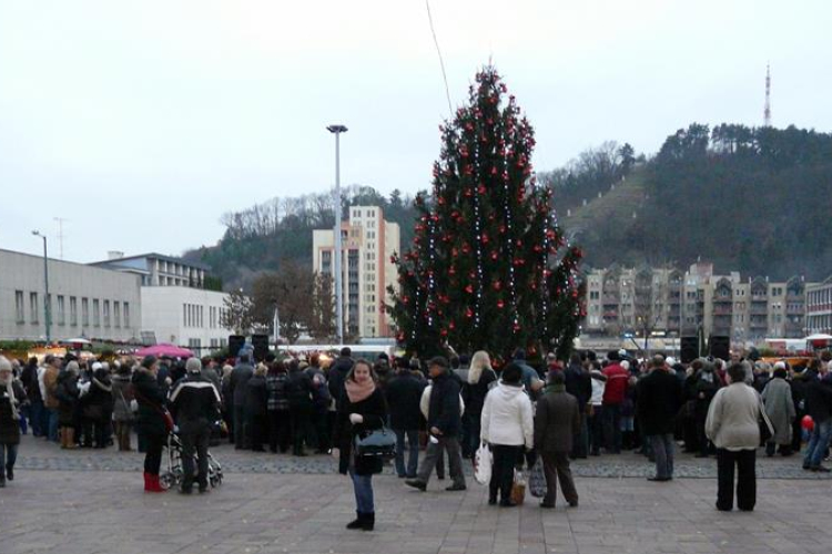 Városrészek karácsonyfája Salgótarjánban