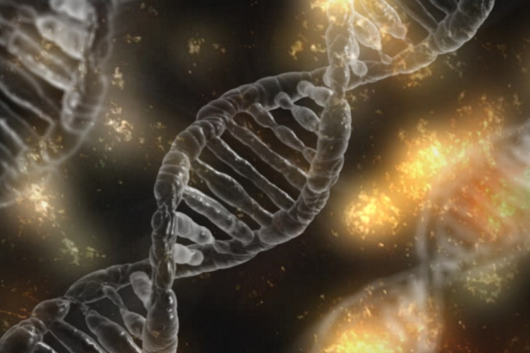 Először próbálkoztak génszerkesztéssel élő ember szervezetében