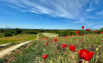 Néhol lehet zápor, zivatar.