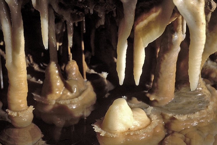 Cseppkövek nőttek egy salgótarjáni homokkő alagútban