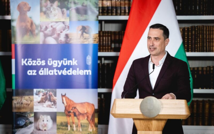 Állatvédelmi civil szervezetek: romlik az állatvédelem helyzete Magyarországon.