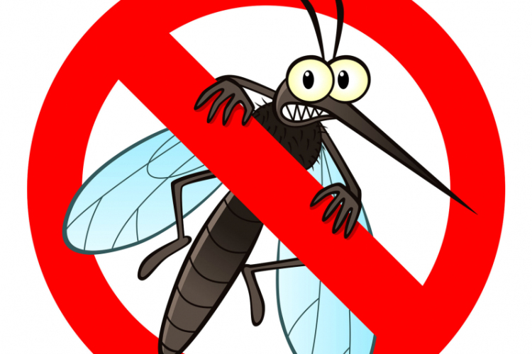 Katasztrófavédelem: hat vármegyében irtják a szúnyogokat a héten