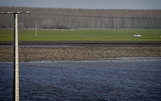 Árvíz/belvíz - Több mint ötezer hektárral nőtt a belvizes terület a Körösök mentén