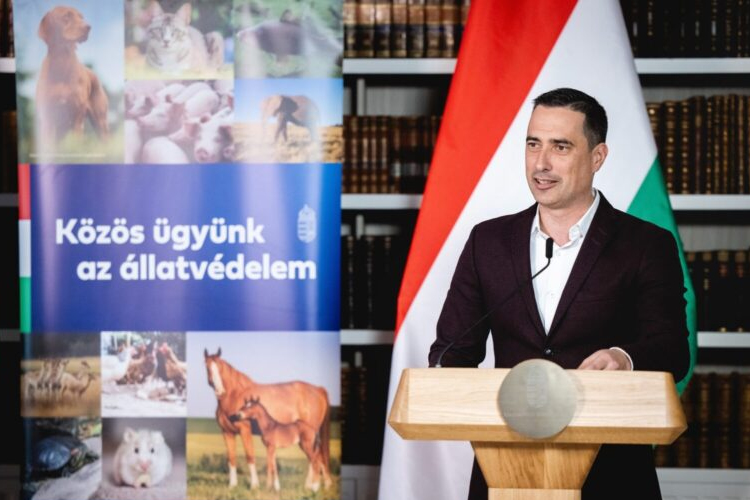 Állatvédelmi civil szervezetek: romlik az állatvédelem helyzete Magyarországon.