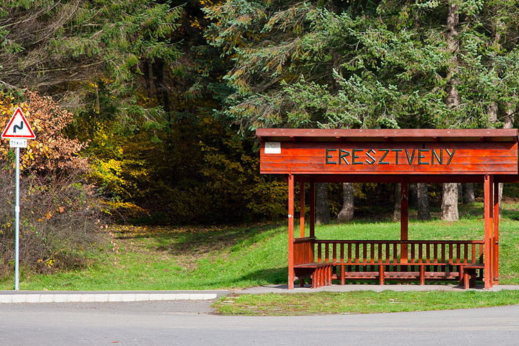 Medvesi Fotós Maraton - Családi nap