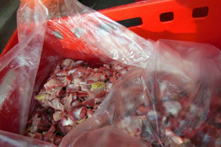 Illegális húsfeldolgozót találtak Békés megyében