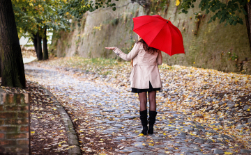 Délelőtt eláll az eső, kisüt a nap!