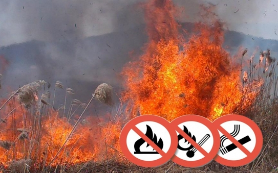Hőségriadó, tűzgyújtási tilalom, szabadtéri tüzek