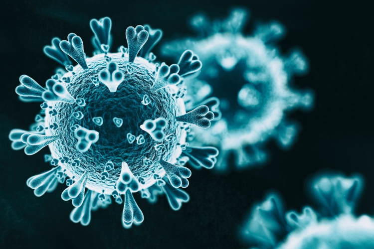 PTE: az észak-indokínai szubtrópusi régióban alakulnak és fejlődnek ki az emberiség számára kockázatos SARS-szerű vírusok