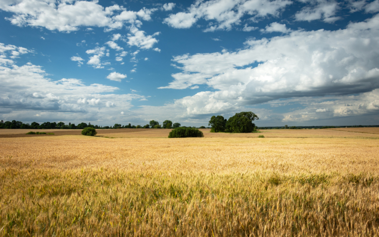 Elvonul a front és ismét melegszik az idő!