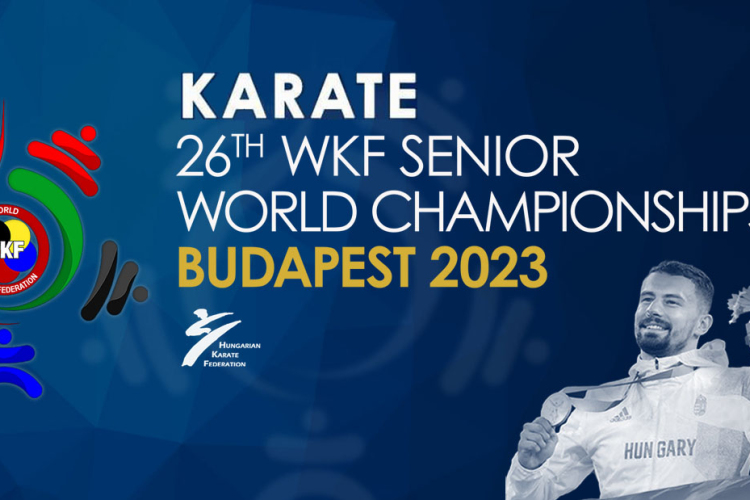 Karate-vb - Hárspataki Gábor bejutott a szombati fináléba.