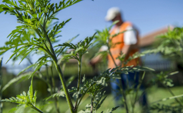 Robban a bírságbomba: már csak pár napja maradt annak, akinek kertes háza, telke van
