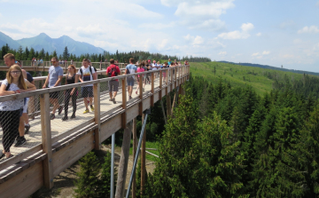 A szondisok a fák tetején járnak.